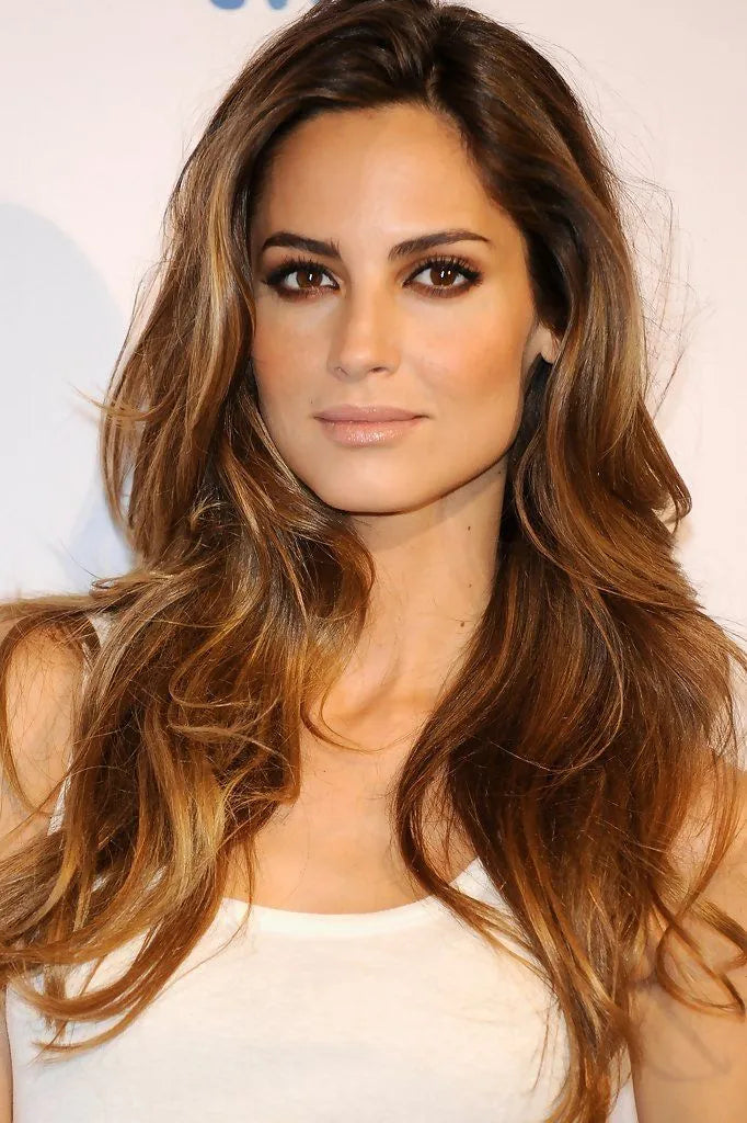Ariadne Artiles Mixed Color Hair Long Loose Wave Lace Front Wig 100% Human Hair 20 Inches